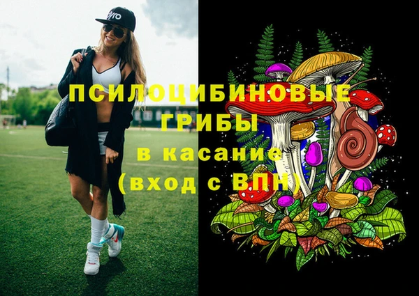 ешки Саяногорск
