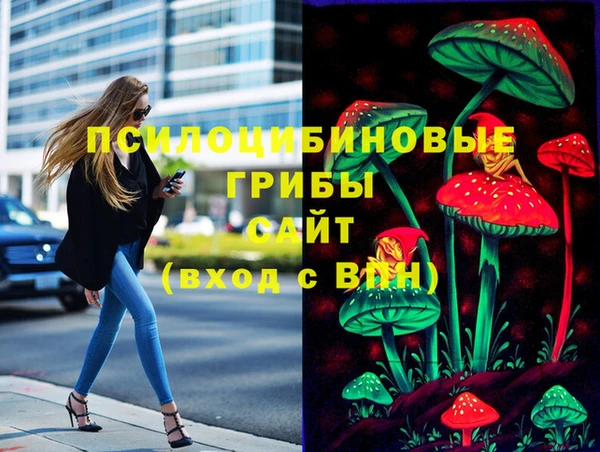 альфа пвп Алексеевка