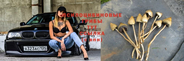 a pvp Абинск