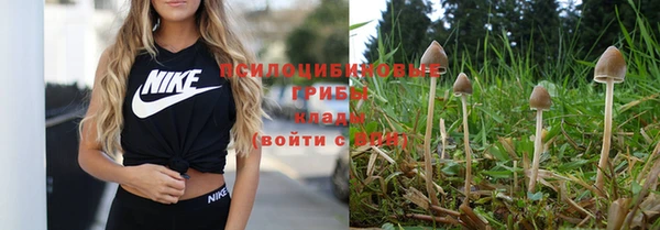 каннабис Сатка