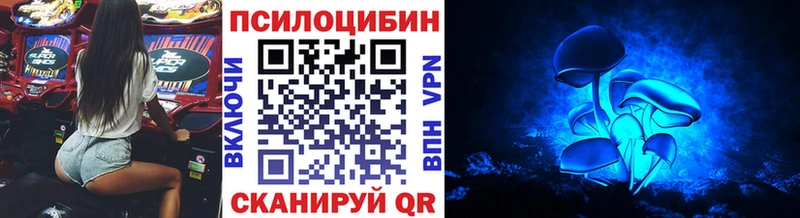 Псилоцибиновые грибы прущие грибы  Нолинск 